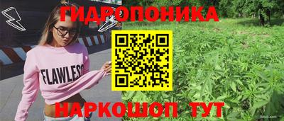 дживик Усть-Илимск